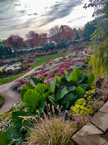 The Gardens in early fall (October) before frost hits.