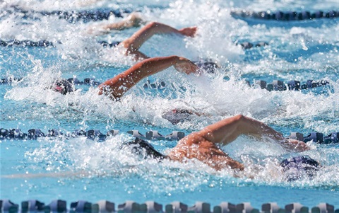 swimmers in pool lanes performing a front crawl